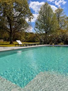 een zwembad van blauw water met een bank en bomen bij Manoir Nestor - Chairière in Vresse-sur-Semois