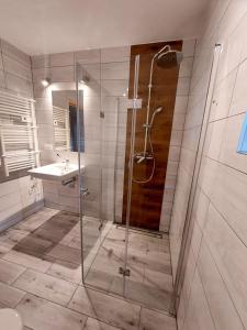 a bathroom with a shower and a sink at Siedlisko nad Białką in Głuchołazy