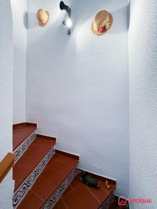 Fotografie z fotogalerie ubytování El Resort v destinaci Oropesa del Mar