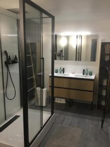 Un baño con ducha de cristal y lavabo. en Bel appartement rénové - Place du Palais avec Parking, en Burdeos 20 fotos más