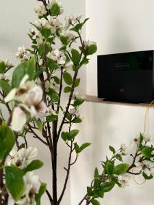 Televiisor ja/või meelelahutuskeskus majutusasutuses Colben Garden House - Relax e Sole a Pochi Passi dal Mare