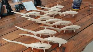 Altri animali domestici presso l'hotel o nei dintorni