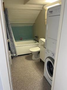 a bathroom with a toilet and a washing machine at Gamla Stan in Falkenberg