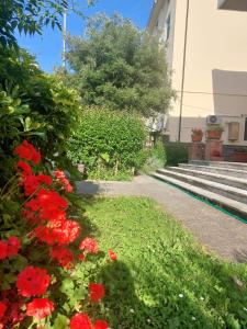 Zahrada ubytování Villa Mehari
