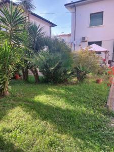 Zahrada ubytování Villa Mehari