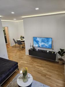 TV a/nebo společenská místnost v ubytování Apartman Beach Makarska