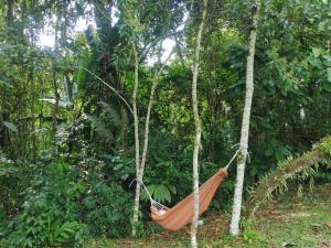 Ảnh trong thư viện ảnh của Eco Hotel Birdland en Buga Valle ở Buga