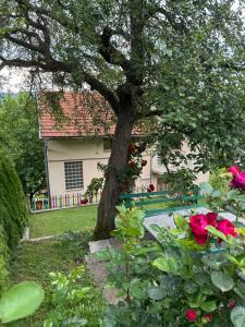 Zahrada ubytování Sarajevo Flower Garden