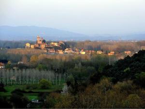 a town on top of a hill with trees at Hotel Villa Casanova in Lucca