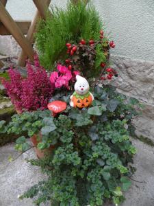 巴特尚道的住宿－Ferienwohnung an der Therme，花朵与泰迪熊在花园里的花朵布置