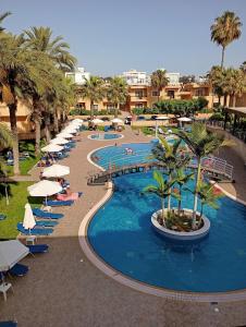 an overhead view of a resort pool with chairs and umbrellas at Pagona Holiday Apartments in Paphos City