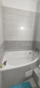 Koupelna v ubytování Grey Deluxe Apartman Kaposvár