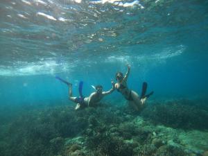 Hosté ubytování Dua Putri Komodo Homestay