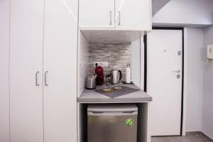 Kuchyň nebo kuchyňský kout v ubytování Exclusive New Modern Apartment at Syntagma Square