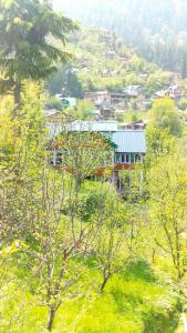 a house on top of a hill with trees at Mother's eco lodge in Jibhi