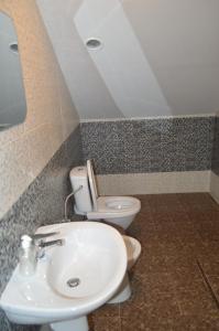 a bathroom with a toilet and a sink at Pensiunea VisAventura in Vişan
