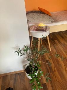 Fotografia z galérie ubytovania VILLA BRUNEGG Leoben GÖSS v destinácii Leoben