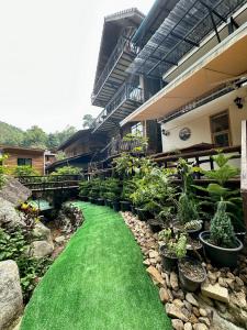 Ban Pok Nai的住宿－ไชยพล โฮมสเตย์ หมู่บ้านแม่กำปอง，一座花园,在房子前面种有绿色的草和植物