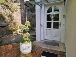 Zahrada ubytování Villa Belvedere
