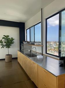 a kitchen with a sink and a potted plant at Abpopa Hillcrest in San Diego