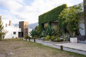 a house with ivy on the side of it at QHAWANA CABAÑAS & SUITES in La Rioja