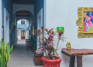 Fotografie z fotogalerie ubytování Hotel Boutique Casa Altamira v destinaci Querétaro