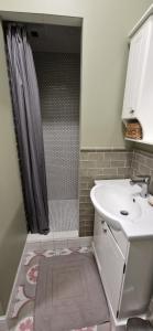 uma casa de banho com um lavatório e um chuveiro com uma cortina de chuveiro em Family apartment em Vilnius