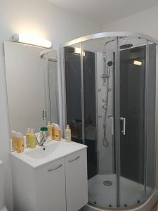 a bathroom with a shower and a white sink at Locatif gare Lille Europe Souvenir in Lille