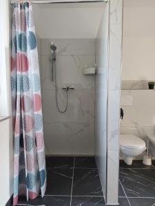 a bathroom with a shower with a toilet and a shower curtain at Apartment house Petra in Cerklje na Gorenjskem +13 photos