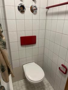a bathroom with a white toilet and a red towel at Forest Apartment-Forest Escape Menzenschwand in St. Blasien