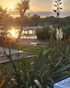 Fotografie z fotogalerie ubytování Mas des Cabidoules v Saintes-Maries-de-la-Mer