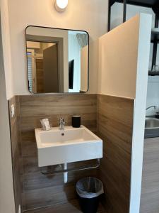 Koupelna v ubytování Lugano 41 by ALEhotels