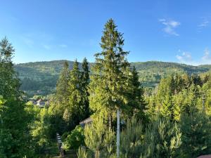 un árbol en medio de un bosque de árboles en Respect en Mykulychyn