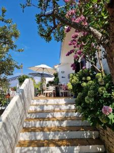 Zahrada ubytování Apartments by the sea Maslinica, Solta - 772