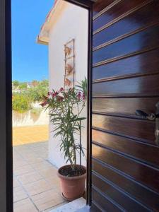 Fotografie z fotogalerie ubytování Apartments by the sea Maslinica, Solta - 772 v destinaci Grohote