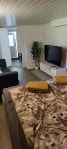 ein großes Bett im Wohnzimmer mit TV in der Unterkunft Sokkelleilighet rett ved Saltstraumen in Bodø