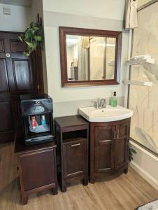 a bathroom with a sink and a mirror at Walkable Uptown area, King Suite, Quiet and Private in Charlotte