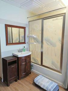 a bathroom with a shower and a sink at Walkable Uptown area, King Suite, Quiet and Private in Charlotte +13 photos