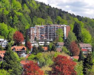 Příroda nedaleko apartmánu