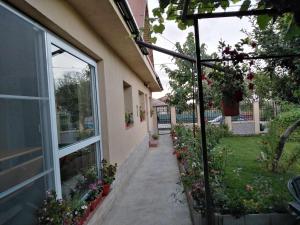 Zahrada ubytování Casa de inchiriat in Limanu + 6 fotografií