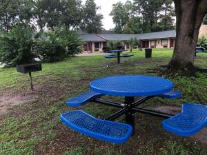 查爾斯頓的住宿－Stay Express Inn North Charleston，一张野餐桌和两把蓝色椅子,旁边是树
