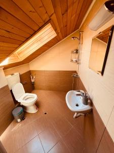 a bathroom with a toilet and a sink at Вила Нибела in Elechanova +28 photos