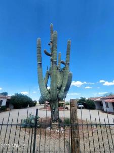 a cactus statue in front of a fence at The Ranch House Inn in Bowie +2 photos