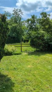 a field of grass with trees and a fence at School View Cottage in North Cerney +20 photos