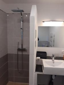 a bathroom with a sink and a shower at Ô calme in Brizambourg +10 photos