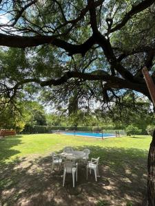 a table and chairs under a tree in a park at Cabaña Emilia in San Javier