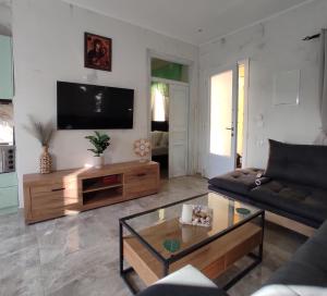 a living room with a couch and a flat screen tv at Pantanassa House in Nisaki