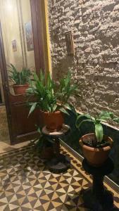 um quarto com dois vasos de plantas num chão em El Patio de la Morocha em Montevidéu