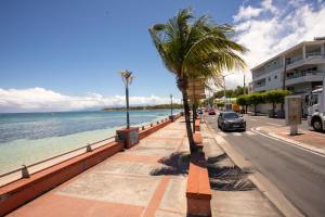 a street with palm trees next to the ocean at Appartement les pieds dans l'eau in Sainte-Anne