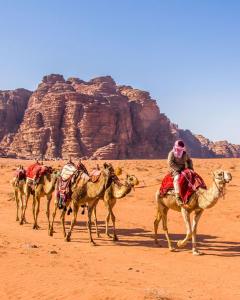a man riding a camel in the desert at Salem Wadi Rum Road in Wadi Rum +23 photos